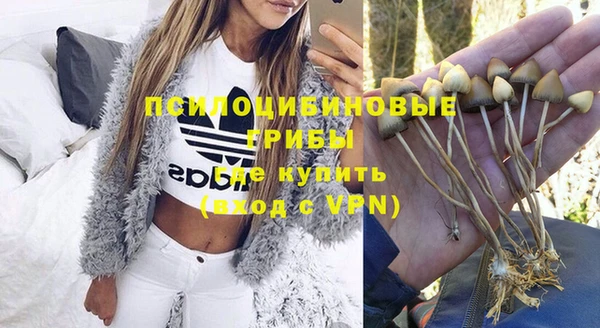 стафф Абинск
