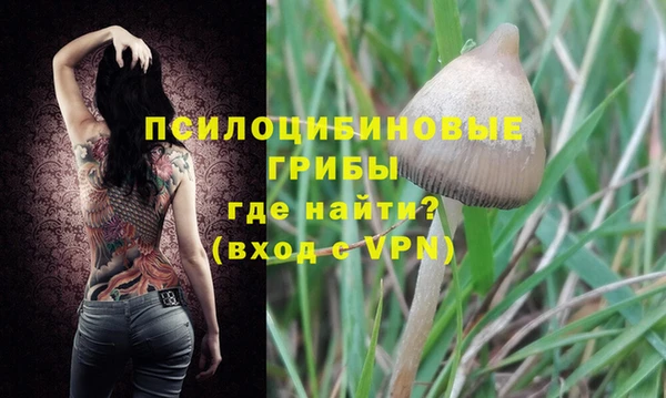 стафф Абинск
