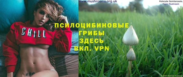 а пвп мука Абаза