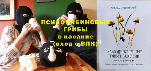 а пвп мука Абаза