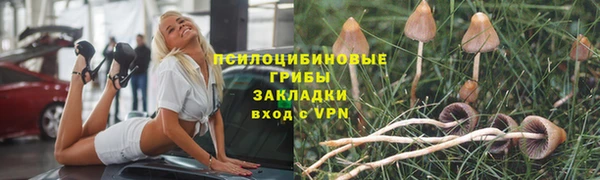 твердый Алзамай