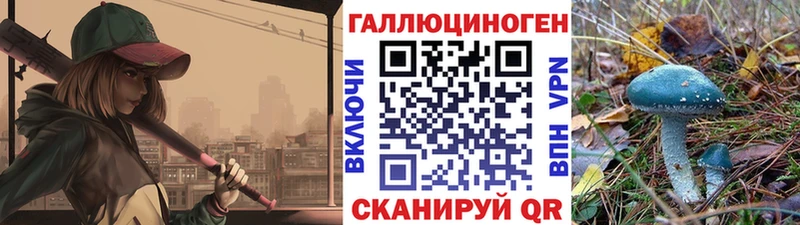 купить наркоту  Новочеркасск  Псилоцибиновые грибы MAGIC MUSHROOMS 