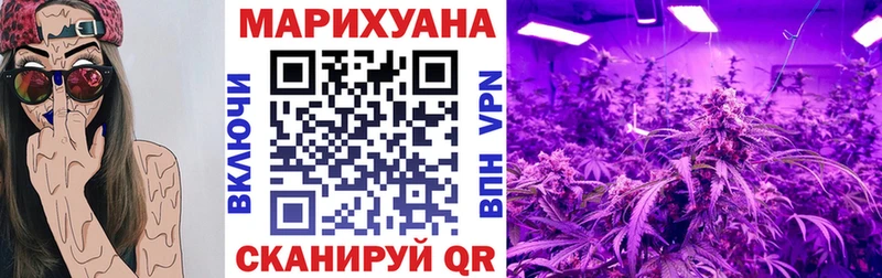 Бошки Шишки планчик  Новочеркасск 